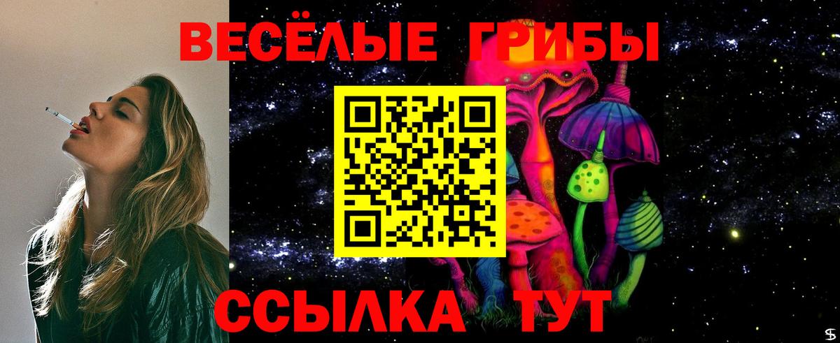 Галлюциногенные грибы Psilocybine cubensis Ирбит